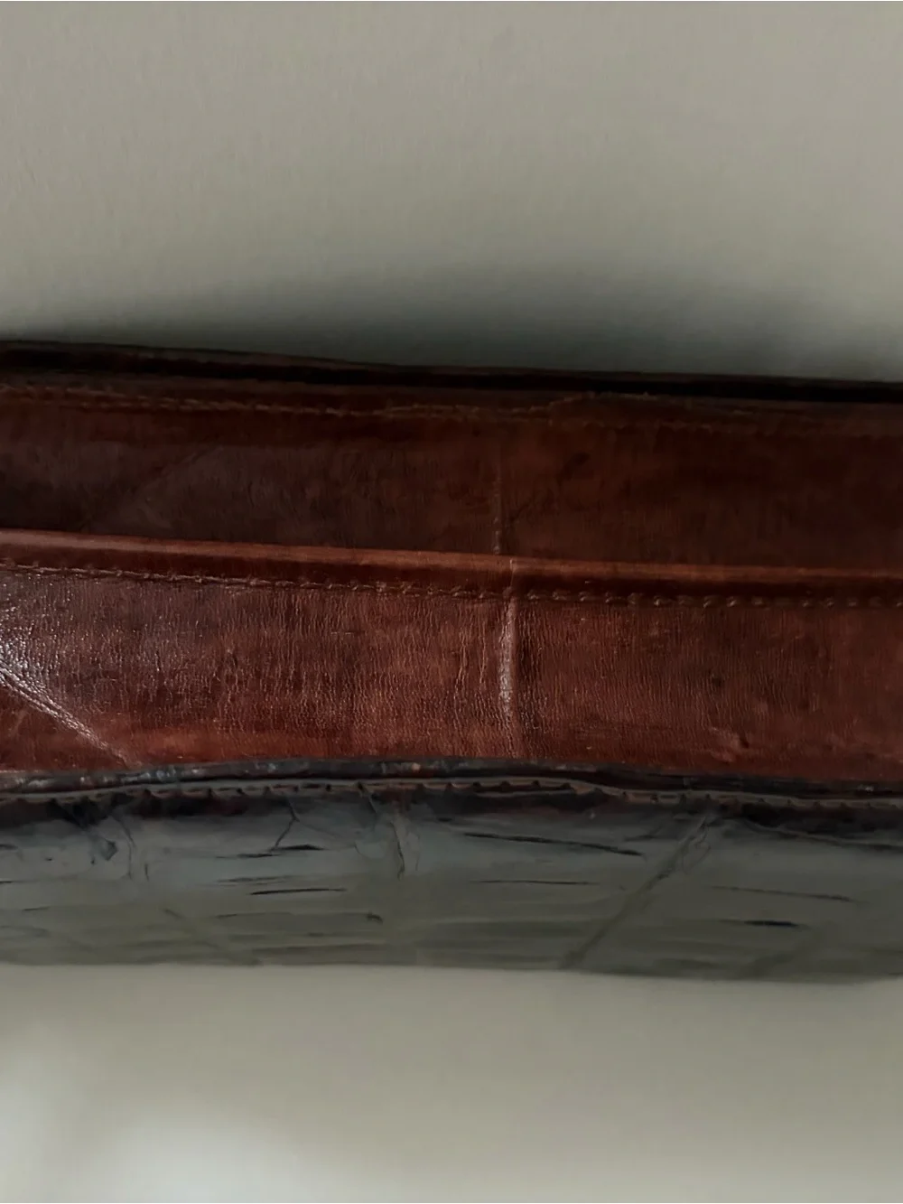 Africa authentic crocodile